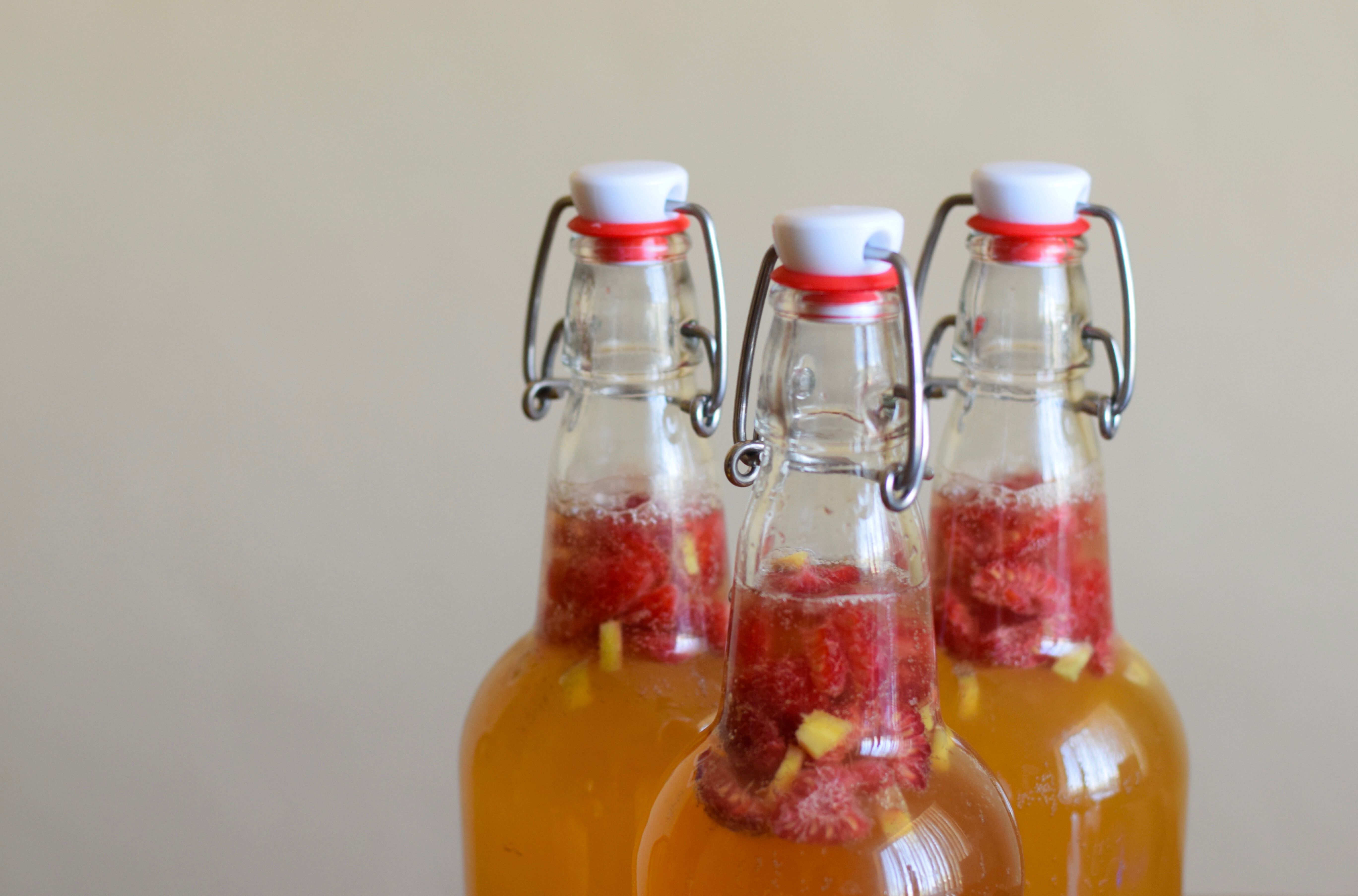stap voor stap fermenteren met Welkoop